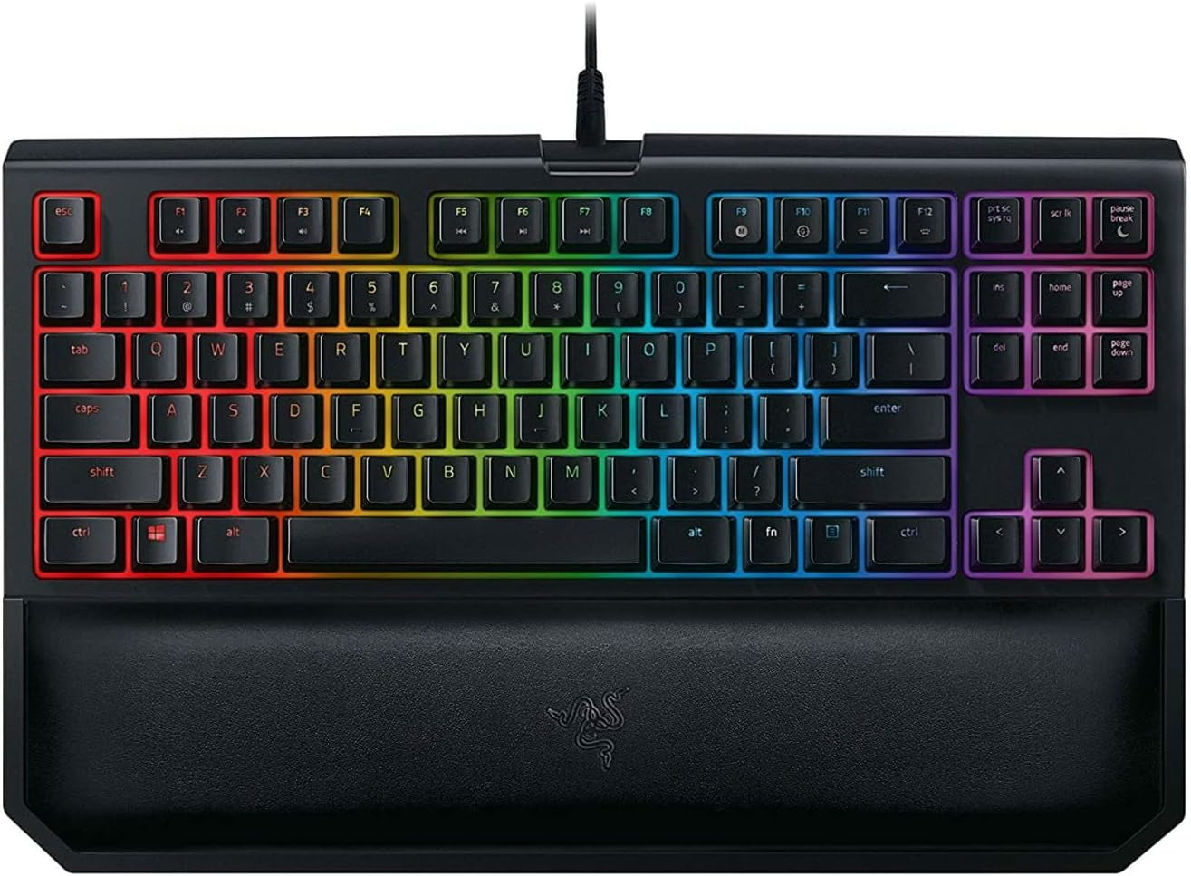 Blackwidow TE Chroma V2 TKL Tenkeyless Mechanical Gaming Keyboard: Orange Key Switches, Tactile & Silent, Chroma RGB Lighting, Magnetic Wrist Rest, Programmable Macros, Classic Black